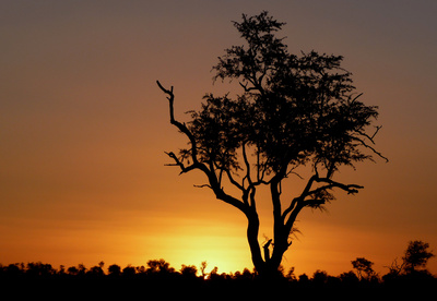 Afrika_by_Janine Grab-Bolliger _ Bearbeitung_ Joujou_pixelio.de